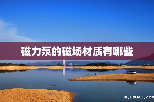 磁力泵的磁场材质有哪些 磁力泵的磁场材质有哪些