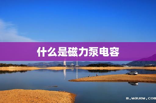 什么是磁力泵电容 什么是磁力泵电容