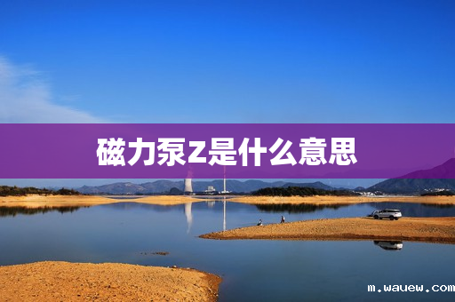 磁力泵Z是什么意思 磁力泵Z是什么意思