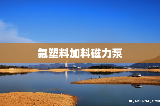 氟塑料加料磁力泵 氟塑料加料磁力泵