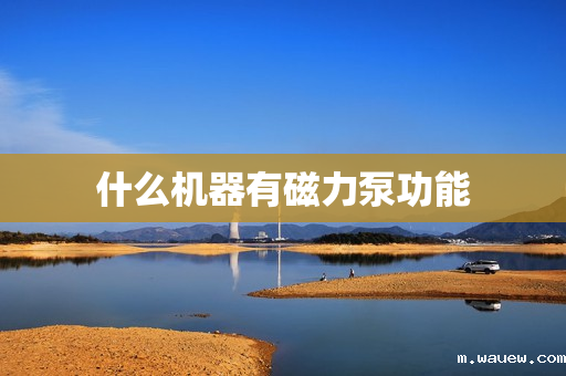 什么机器有磁力泵功能 什么机器有磁力泵功能