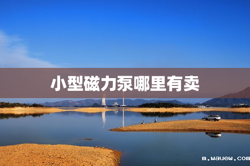 小型磁力泵哪里有卖 小型磁力泵哪里有卖