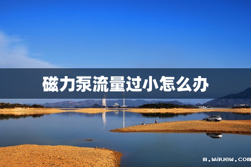 磁力泵流量过小怎么办 磁力泵流量过小怎么办