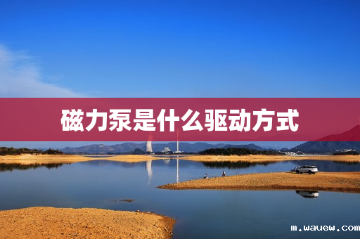 磁力泵是什么驱动方式 磁力泵是什么驱动方式