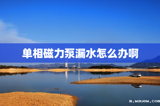 单相磁力泵漏水怎么办啊 单相磁力泵漏水怎么办啊