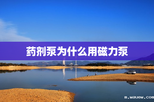 药剂泵为什么用磁力泵 药剂泵为什么用磁力泵