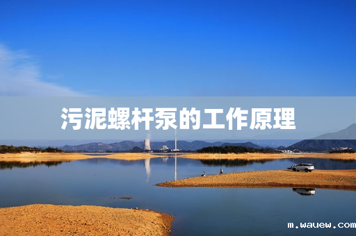 污泥螺杆泵的工作原理 污泥螺杆泵的工作原理