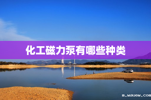 化工磁力泵有哪些种类 化工磁力泵有哪些种类