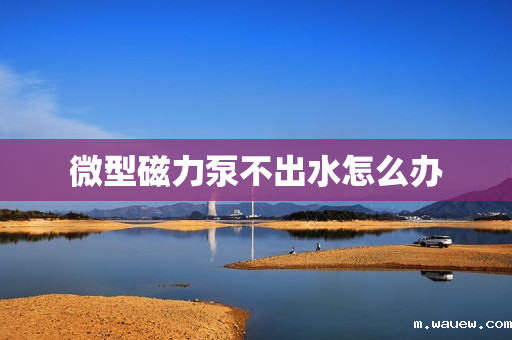 微型磁力泵不出水怎么办 微型磁力泵不出水怎么办