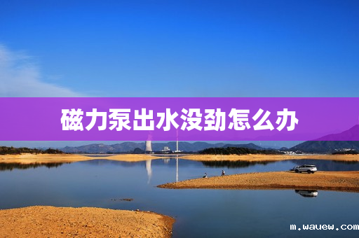 磁力泵出水没劲怎么办 磁力泵出水没劲怎么办