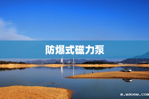 防爆式磁力泵 防爆式磁力泵