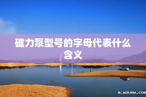 磁力泵型号的字母代表什么含义 磁力泵型号的字母代表什么含义