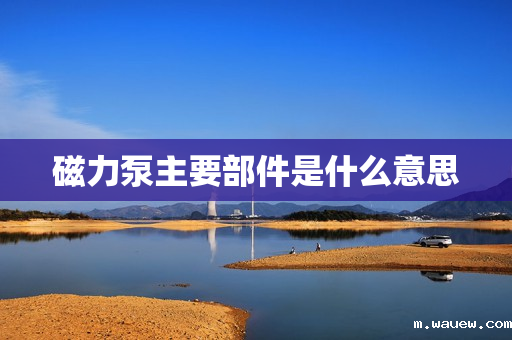 磁力泵主要部件是什么意思 磁力泵主要部件是什么意思