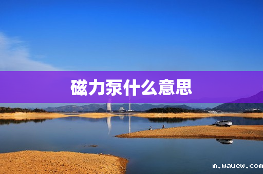 磁力泵什么意思 磁力泵什么意思