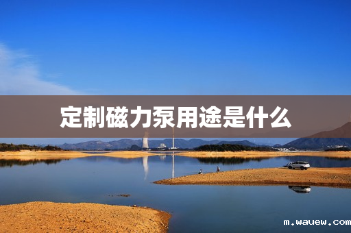 定制磁力泵用途是什么 定制磁力泵用途是什么