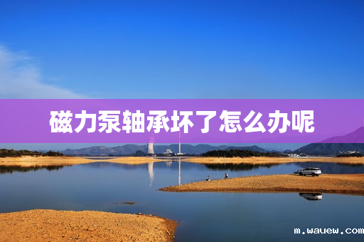 磁力泵轴承坏了怎么办呢 磁力泵轴承坏了怎么办呢