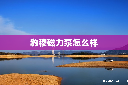 豹穆磁力泵怎么样 豹穆磁力泵怎么样