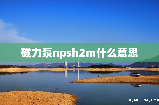 磁力泵npsh2m什么意思 磁力泵npsh2m什么意思