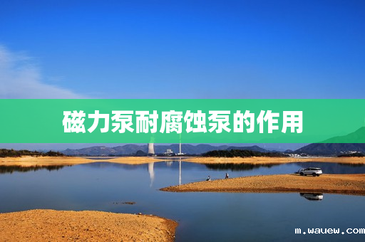 磁力泵耐腐蚀泵的作用 磁力泵耐腐蚀泵的作用