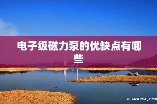 电子级磁力泵的优缺点有哪些 电子级磁力泵的优缺点有哪些