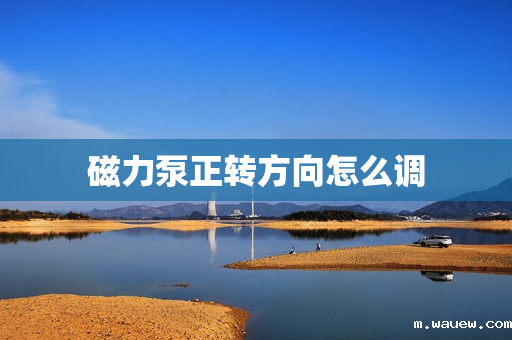 磁力泵正转方向怎么调 磁力泵正转方向怎么调