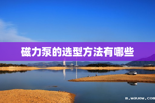 磁力泵的选型方法有哪些 磁力泵的选型方法有哪些