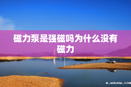 磁力泵是强磁吗为什么没有磁力 磁力泵是强磁吗为什么没有磁力