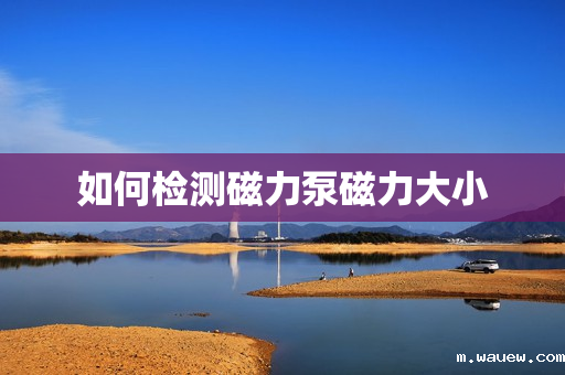 如何检测磁力泵磁力大小 如何检测磁力泵磁力大小