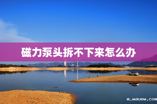 磁力泵头拆不下来怎么办 磁力泵头拆不下来怎么办