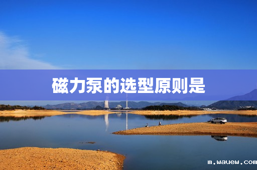 磁力泵的选型原则是 磁力泵的选型原则是