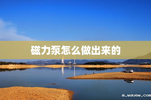 磁力泵怎么做出来的 磁力泵怎么做出来的