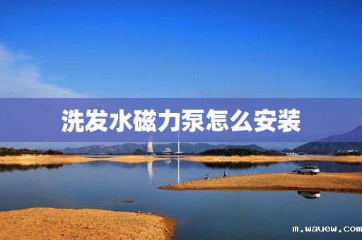 洗发水磁力泵怎么安装 洗发水磁力泵怎么安装