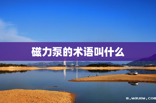 磁力泵的术语叫什么 磁力泵的术语叫什么