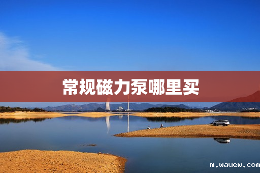 常规磁力泵哪里买 常规磁力泵哪里买