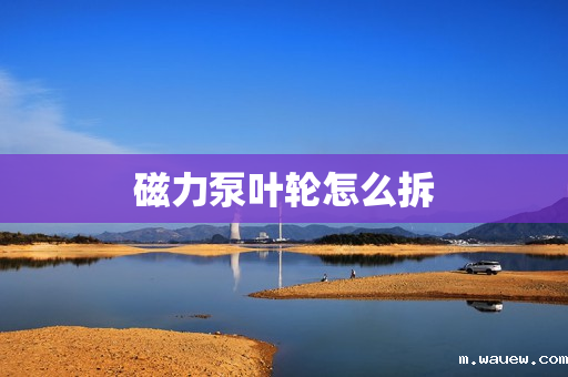 磁力泵叶轮怎么拆 磁力泵叶轮怎么拆