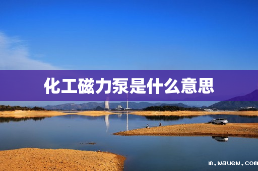 化工磁力泵是什么意思 化工磁力泵是什么意思