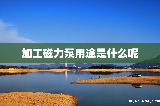 加工磁力泵用途是什么呢 加工磁力泵用途是什么呢