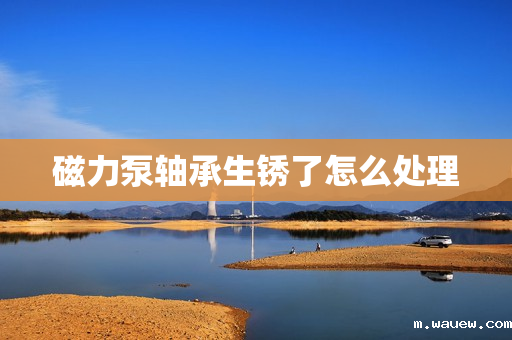 磁力泵轴承生锈了怎么处理 磁力泵轴承生锈了怎么处理