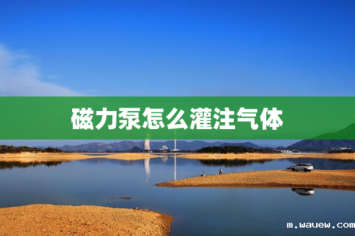 磁力泵怎么灌注气体 磁力泵怎么灌注气体