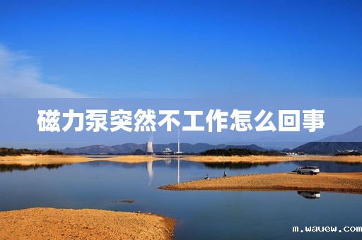 磁力泵突然不工作怎么回事 磁力泵突然不工作怎么回事