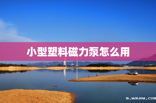 小型塑料磁力泵怎么用 小型塑料磁力泵怎么用