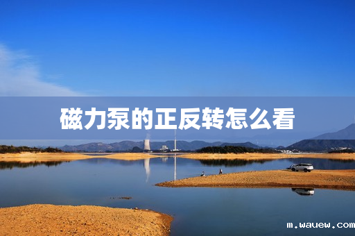 磁力泵的正反转怎么看 磁力泵的正反转怎么看