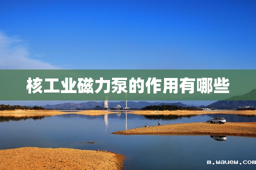 核工业磁力泵的作用有哪些 核工业磁力泵的作用有哪些