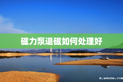 磁力泵退磁如何处理好 磁力泵退磁如何处理好