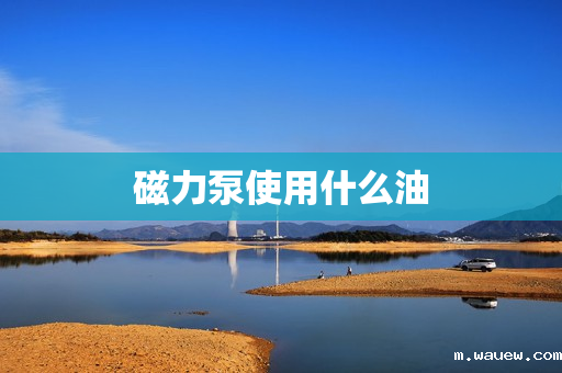 磁力泵使用什么油 磁力泵使用什么油