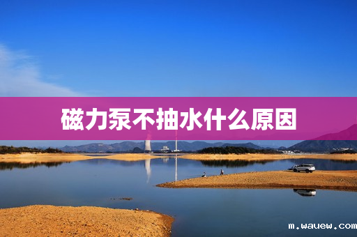 磁力泵不抽水什么原因 磁力泵不抽水什么原因