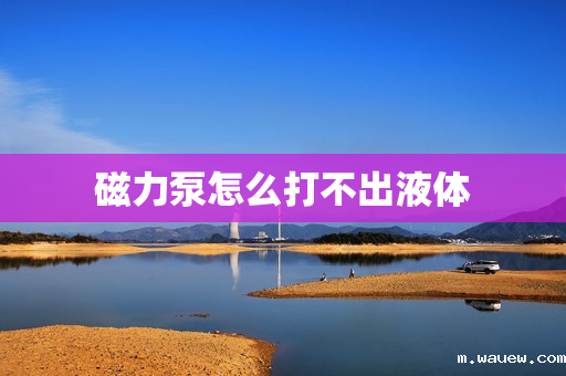 磁力泵怎么打不出液体 磁力泵怎么打不出液体