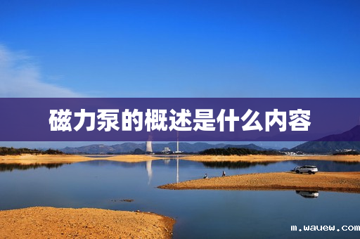 磁力泵的概述是什么内容 磁力泵的概述是什么内容