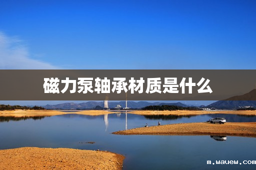 磁力泵轴承材质是什么 磁力泵轴承材质是什么