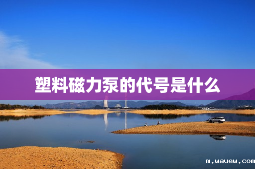 塑料磁力泵的代号是什么 塑料磁力泵的代号是什么